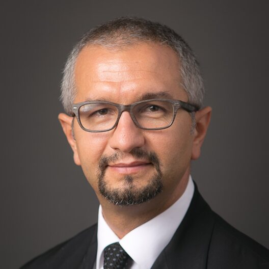Mesut Pervizpour